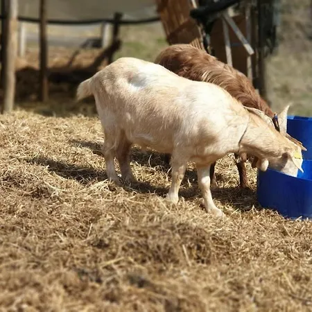 Vrindavan Eco Village * Brezice
